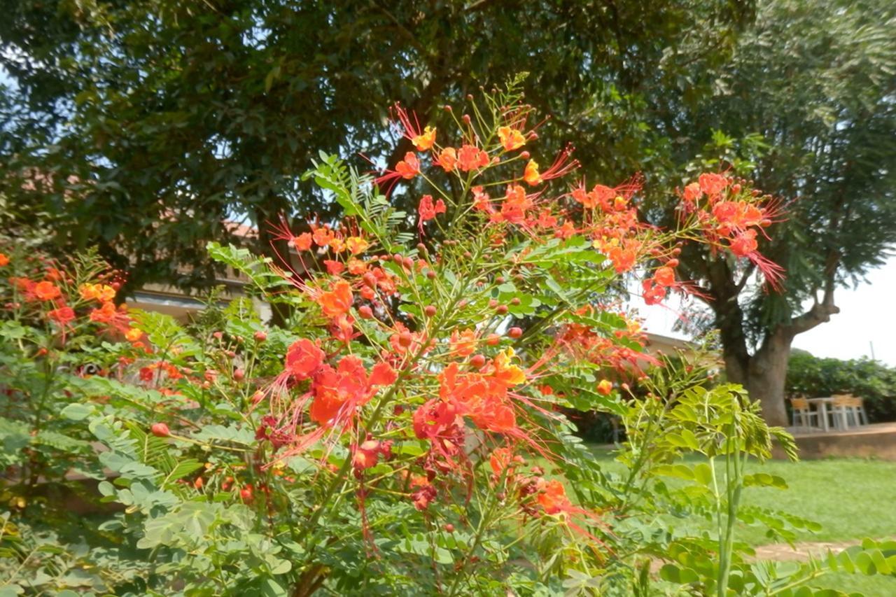 Dutchess Hotel And Restaurant Fort Portal Екстериор снимка